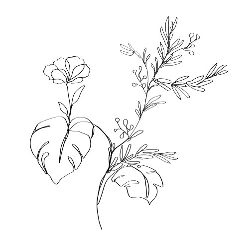 thalissi-aromatherapy Thalissi Aromatherapy