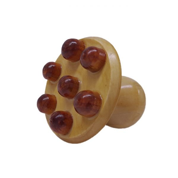 Champiñón masajeador 01