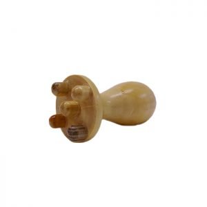 Champiñón pequeño del kit facial